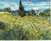 Vincent Van Gogh Green Wheat Field with Cypress oil